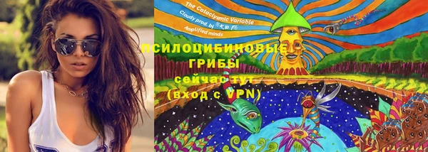 гашик Белоозёрский