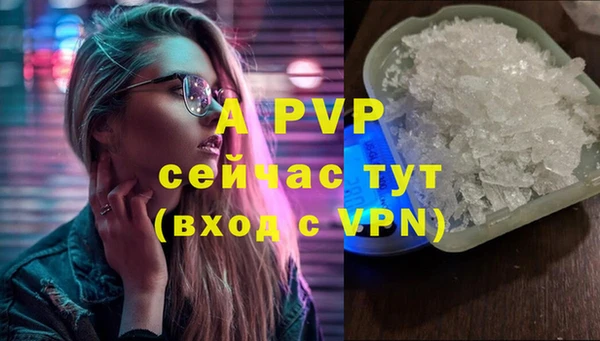 прущие крисы Белокуриха
