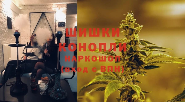 крисы Баксан