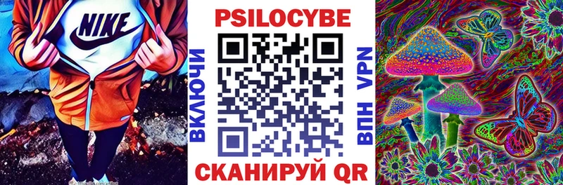 даркнет сайт Кузнецк Галлюциногенные грибы мицелий