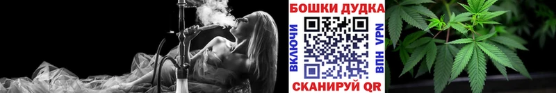 Бошки Шишки THC 21%  Кузнецк 